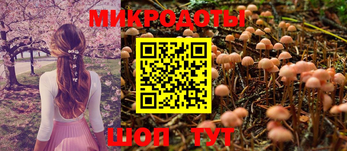 Кисловодск  Галлюциногенные грибы GOLDEN TEACHER  Вход с VPN  Псилоцибиновые грибы Psilocybine cubensis 