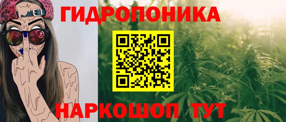 Кисловодск  Канабис семена  Вход с VPN  Каннабис Amnesia  Канабис THC 21%  Шишки марихуана AK-47 